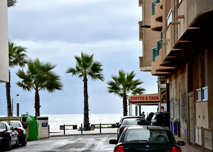 Estudio Gato Del Mar